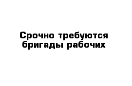 Срочно требуются бригады рабочих